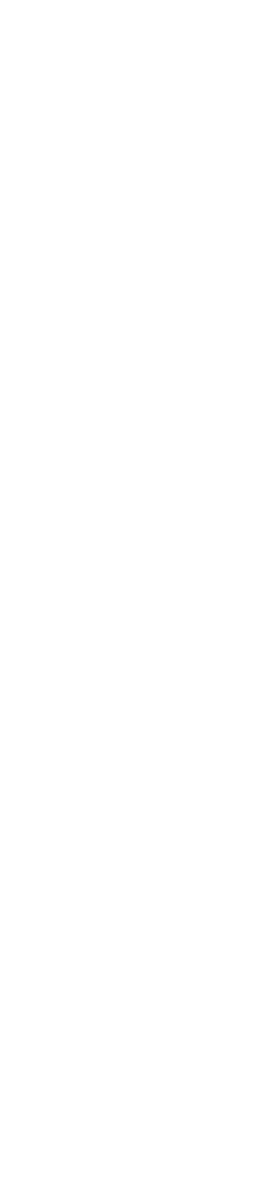 主标题